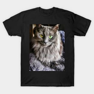 Green Eyes Grey Fur T-Shirt